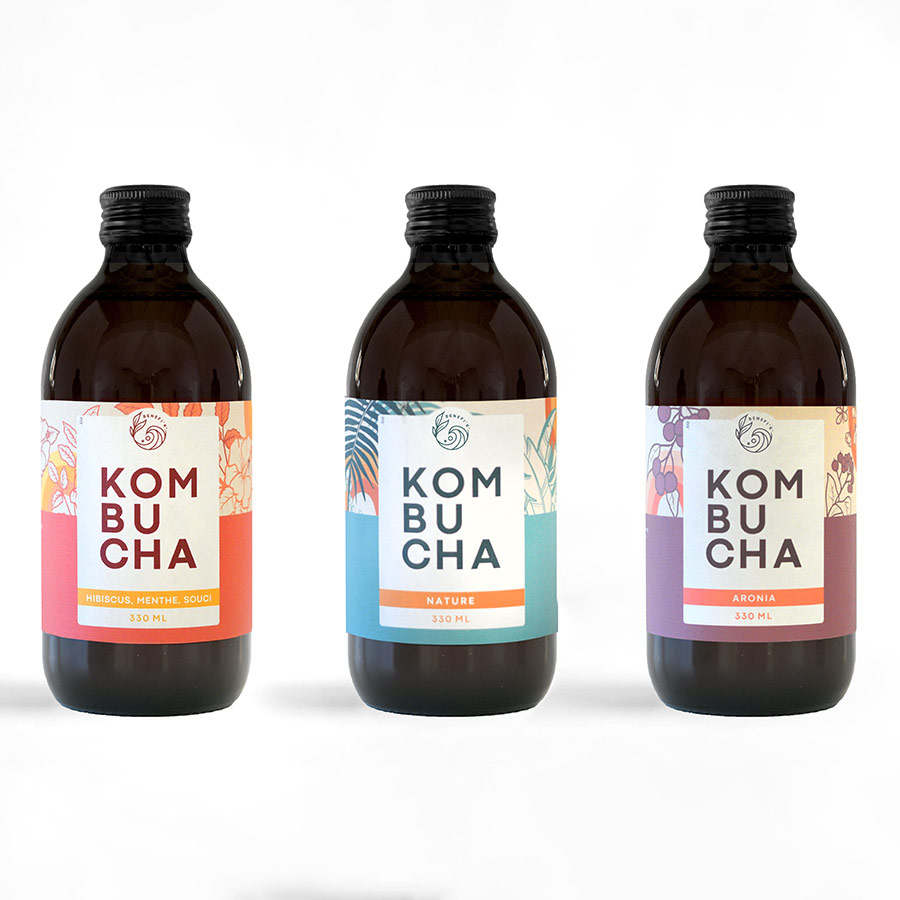 BENEFI'K Kombucha Carton découverte