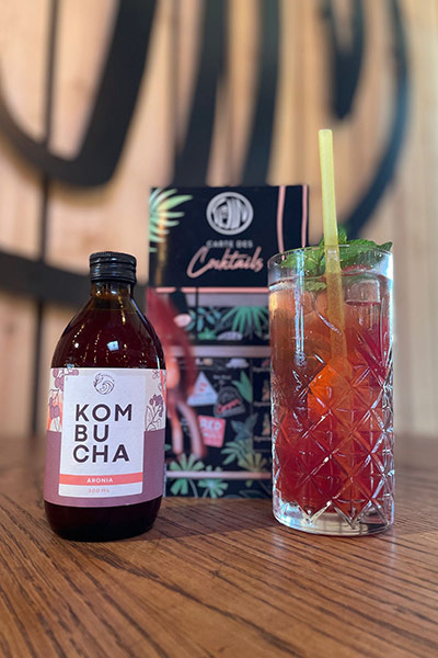BENEFI'K Kombucha - PIMM'S Aronia