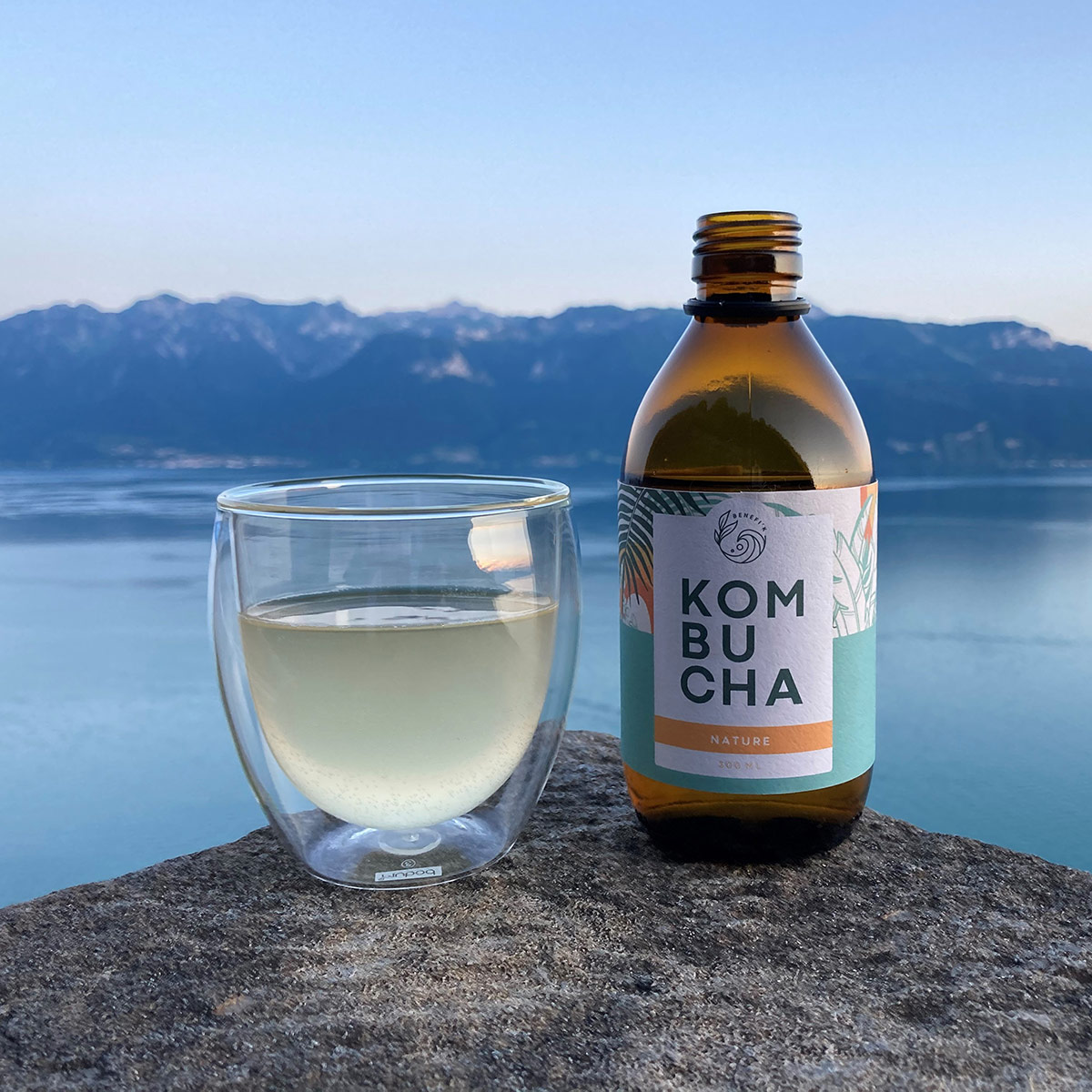 BENEFI'K Kombucha - Histoire
