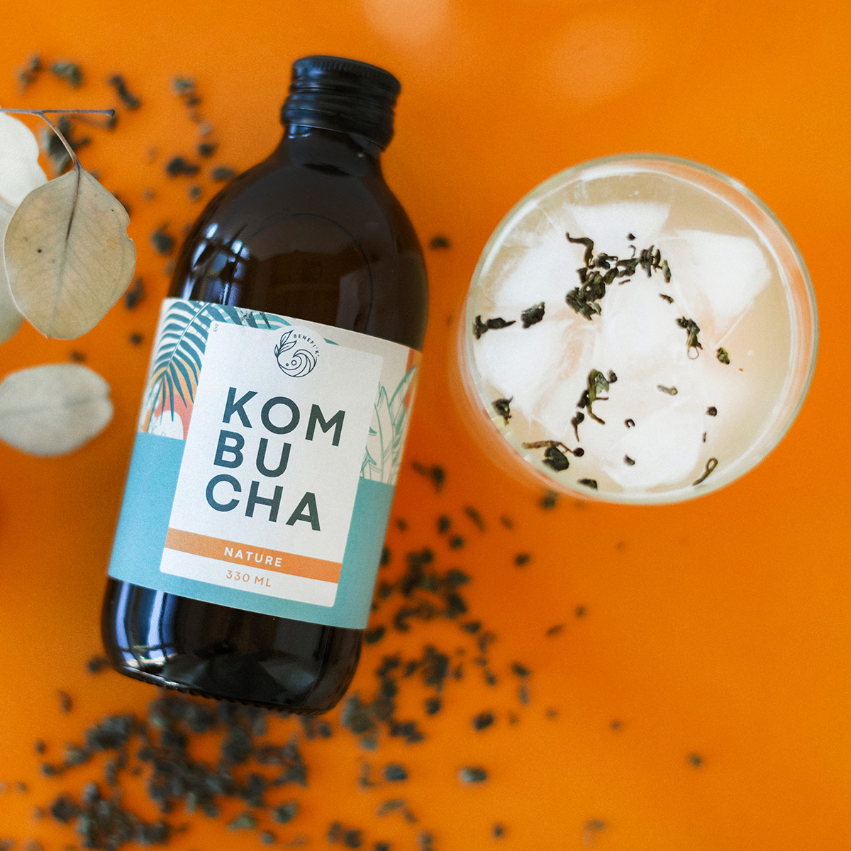 BENEFI'K Kombucha - 100% bio