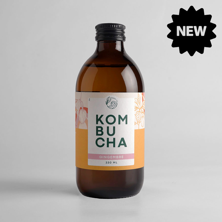BENEFI'K Kombucha Gingembre